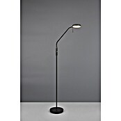 Trio Lighting Staande ledlamp Moreno (Zwart, Hoogte: 160 cm) | BAUHAUS