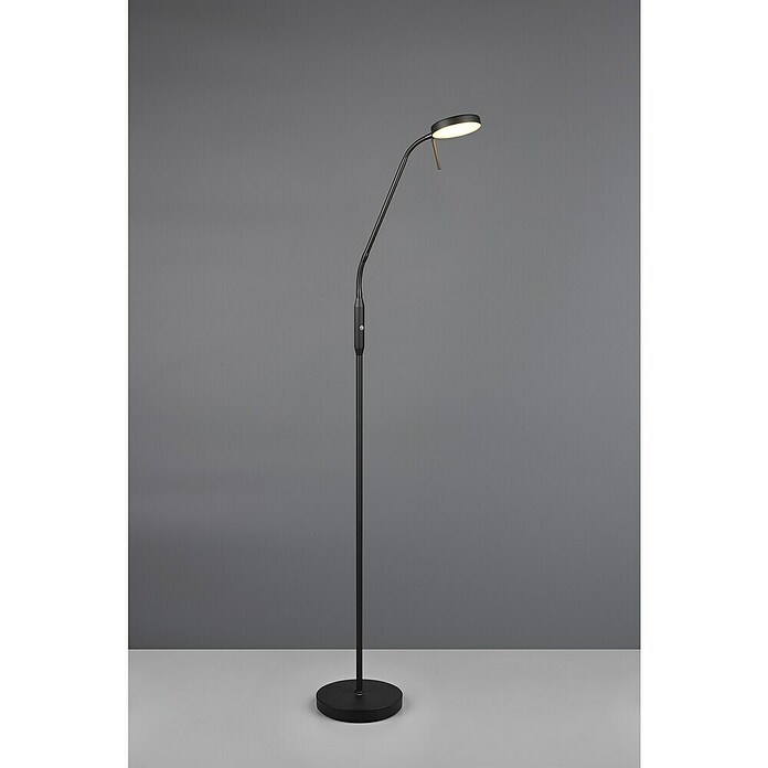Trio Lighting Staande ledlamp Moreno (Zwart, Hoogte: 160 cm) | BAUHAUS