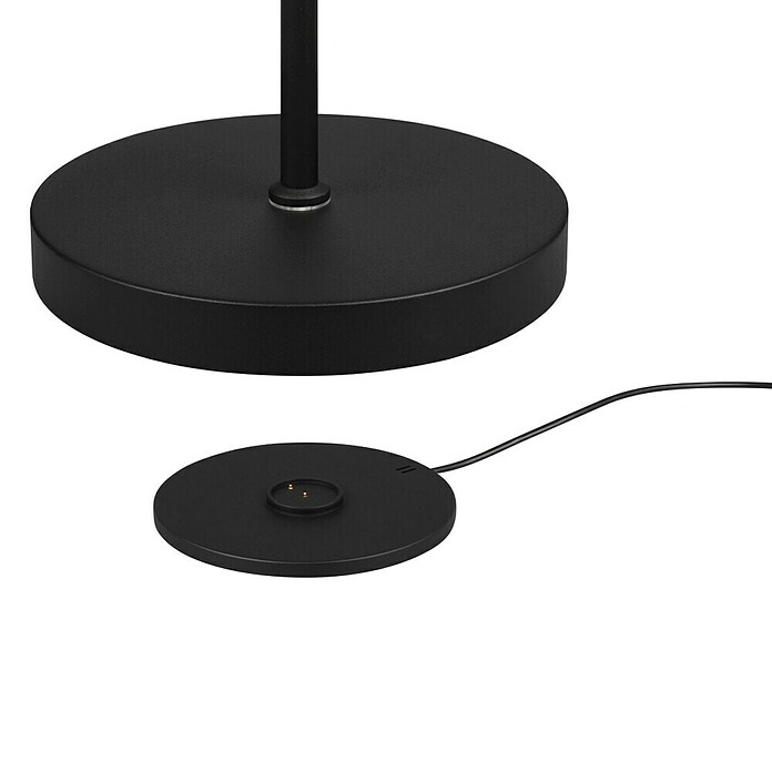 Trio Lighting Staande ledlamp Moreno (Zwart, Hoogte: 160 cm) | BAUHAUS
