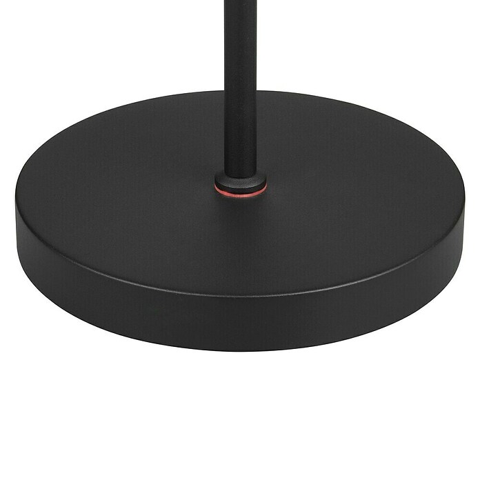 Trio Lighting Staande ledlamp Moreno (Zwart, Hoogte: 160 cm) | BAUHAUS