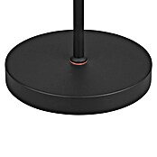 Trio Lighting Staande ledlamp Moreno (Zwart, Hoogte: 160 cm) | BAUHAUS
