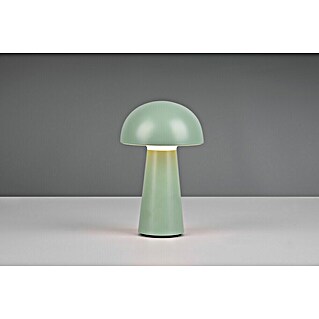 Trio Lighting Led-tafellamp Lennon (Pistache groen, Ø x h: 13 x 21 cm)
