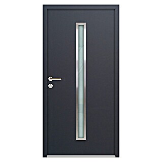 FM Türen Nebeneingangstür NBT56-01 (110 x 210 cm, DIN Anschlag: Links, Anthrazit)
