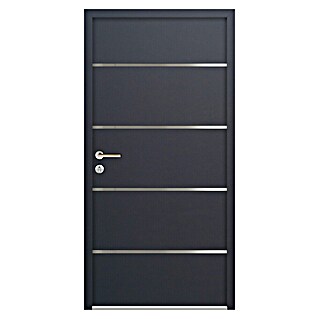 FM Türen Nebeneingangstür NBT56-02 (100 x 210 cm, DIN Anschlag: Links, Anthrazit)