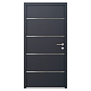 FM Türen Nebeneingangstür NBT56-02 (100 x 210 cm, DIN Anschlag: Rechts, Anthrazit)