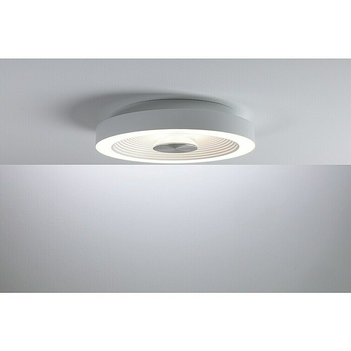 Paulmann LED-Wand- & Deckenleuchte Volea (Ø x H: 32 x 6,4 cm, Weiß/Silber, 18 W, Warmweiß) | BAUHAUS