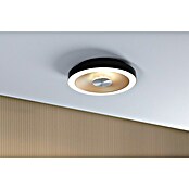 Paulmann LED-Wand- & Deckenleuchte Volea (Ø x H: 32 x 6,4 cm, Schwarz/Gold, 18 W, Warmweiß) | BAUHAUS