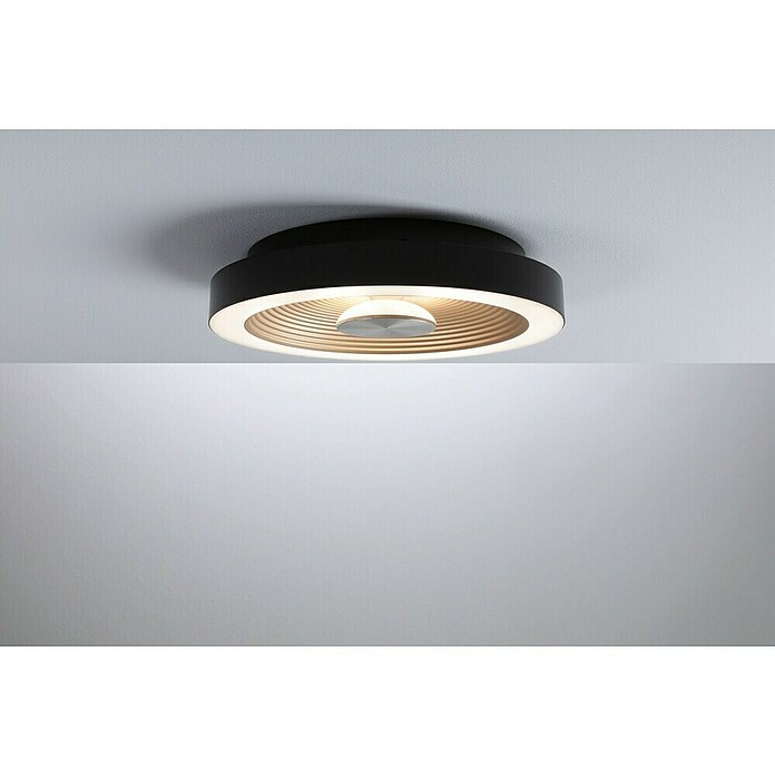 Paulmann LED-Wand- & Deckenleuchte Volea (Ø x H: 32 x 6,4 cm, Schwarz/Gold, 18 W, Warmweiß) | BAUHAUS