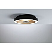 Paulmann LED-Wand- & Deckenleuchte Volea (Ø x H: 32 x 6,4 cm, Schwarz/Gold, 18 W, Warmweiß) | BAUHAUS