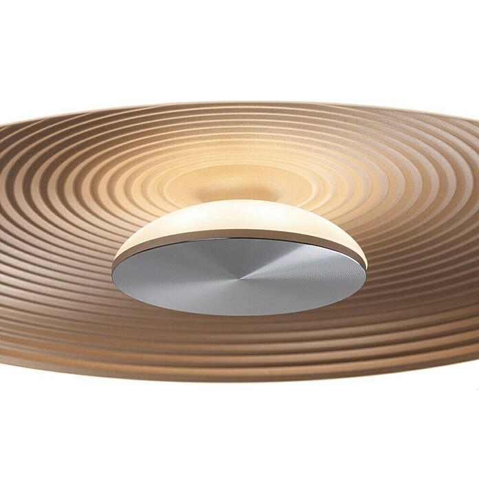 Paulmann LED-Wand- & Deckenleuchte Volea (Ø x H: 32 x 6,4 cm, Schwarz/Gold, 18 W, Warmweiß) | BAUHAUS