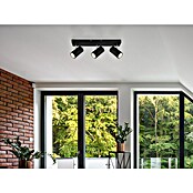 Globo Robby Deckenstrahler (35 W, L x B x H: 41 x 6 x 12 cm, Schwarz matt, GU10) | BAUHAUS
