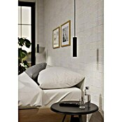 Eglo Lámpara colgante LED Almudaina (5 W, L x An x Al: 4 x 4 x 110 cm, Negro, Blanco cálido, 1 ud.) | BAUHAUS