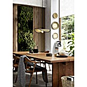 Eglo Lámpara colgante Marywell (40 W, L x An x Al: 50 x 34,5 x 110 cm, E27) | BAUHAUS