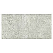Pločica od prirodnog kamena Newstone Light Grey  (60 x 120 cm, Svjetlo siva, Mat) | BAUHAUS