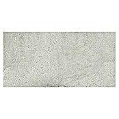 Pločica od prirodnog kamena Newstone Light Grey  (60 x 120 cm, Svjetlo siva, Mat) | BAUHAUS