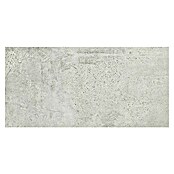 Pločica od prirodnog kamena Newstone Light Grey  (60 x 120 cm, Svjetlo siva, Mat) | BAUHAUS