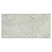 Pločica od prirodnog kamena Newstone Light Grey  (60 x 120 cm, Svjetlo siva, Mat) | BAUHAUS