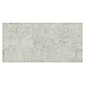 Pločica od prirodnog kamena Newstone Light Grey  (60 x 120 cm, Svjetlo siva, Mat) | BAUHAUS