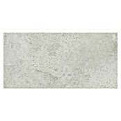 Pločica od prirodnog kamena Newstone Light Grey  (60 x 120 cm, Svjetlo siva, Mat) | BAUHAUS