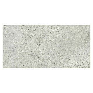 Pločica od prirodnog kamena Newstone Light Grey (60 x 120 cm, Svjetlo siva, Mat)