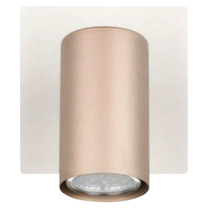 Trio Lighting Marley Foco de pared - 25 W, L x An x Al: 12 x 12 x 15 cm, Marrón, GU10 - Primer plano de una lámpara de techo cilíndrica en oro rosa, que combina diseño moderno e iluminación eficiente.