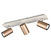 Trio Lighting Marley Regleta 3 luces (35 W, L x An x Al: 9 x 48 x 15 cm, Gris, Marrón, GU10) | BAUHAUS