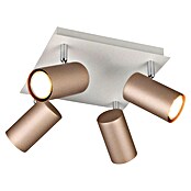 Trio Lighting Marley Regleta 4 luces (35 W, Gris, GU10) | BAUHAUS