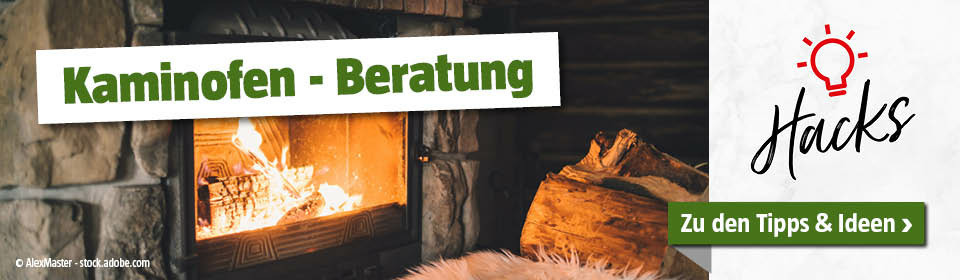 Kaminofen Beratung