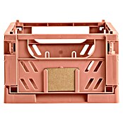 Caja plegable Misty (L x An x Al: 16,5 x 25 x 10 cm, Coral) | BAUHAUS
