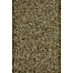 Vebe Floorcoverings Kunstrasen Meterware Green (Breite: 400 cm, Mit Noppen, Beige)