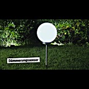 BAUHAUS Solar-Kugelleuchte Fara (Erdspieß, Durchmesser: 30 cm, Höhe: 73 cm, LED, 8 h) | BAUHAUS