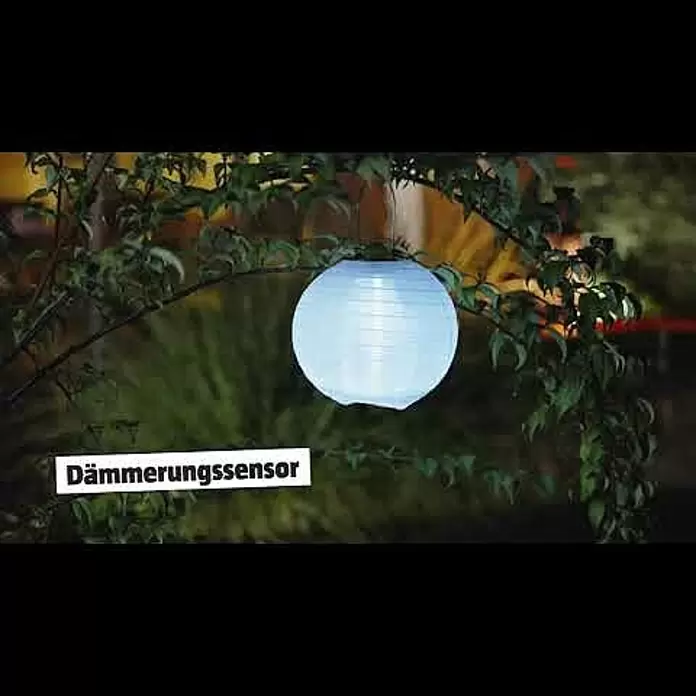 BAUHAUS Solarleuchte LampionWeiß, Leuchtdauer: 8 h - BAUHAUS Solarleuchte Lampion, Wei