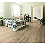 Laminado Biscotti (1.285 x 192 x 8 mm, Biscotti, AC5) | BAUHAUS