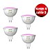 Philips Hue Set Smart LED-Lampe White & Color Ambiance MR16 