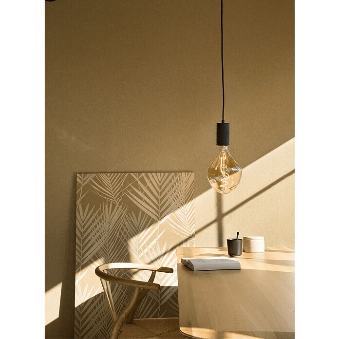 Calex Ledlichtbron XXL Organic Evo Gold (6 W, Levensduur: 15.000 u) | BAUHAUS