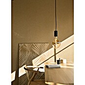 Calex Ledlichtbron XXL Organic Evo Gold (6 W, Levensduur: 15.000 u) | BAUHAUS
