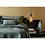 Calex Ledlichtbron XXL Organic Evo Gold (6 W, Levensduur: 15.000 u) | BAUHAUS