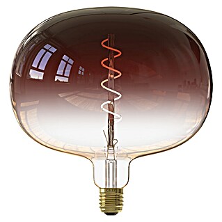 Calex Ledlichtbron XXL Boden Marron (5 W, Levensduur: 15.000 u)