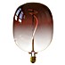 Calex Ledlichtbron XXL Avesta Marron 