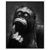 Cuadro alto brillo Mono B&N (Mono B&N, An x Al: 40 x 50 cm, 1 pzs.) | BAUHAUS