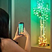 Twinkly Smart-LED-Lichterkette Candies Stern (Innen, 6 m, Lichtfarbe: RGB, 100 Stk., Netzbetrieben) | BAUHAUS