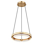 Globo Blondie Viseća LED svjetiljka  (36 W, 40 x 120 cm, Zlatna, Raznobojno) | BAUHAUS