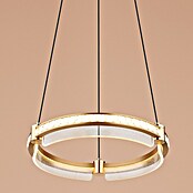 Globo Blondie Viseća LED svjetiljka  (36 W, 40 x 120 cm, Zlatna, Raznobojno) | BAUHAUS