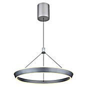 Globo Lámpara colgante LED redonda Ferra (40 W, Ø x Al: 50 x 180 cm, Plata, Blanco cálido) | BAUHAUS