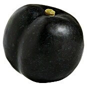 Figura decorativa Ciruela negra (L x An x Al: 5,5 x 5,5 x 6 cm, Plástico)