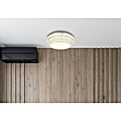 Globo Okrugla stropna LED svjetiljka Klara  (48 W, Raznobojno, Ø x V: 50 x 15,5 cm) | BAUHAUS