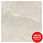 Pavimento porcelánico Tempo (60 x 60 cm, Nature, Mate, Rectificado) | BAUHAUS