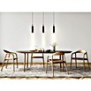Akku-Pendelleuchte mit Akku ausziehbar 37 - 163 cm (7,5 cm, Schwarz, Warmweiß) | BAUHAUS