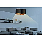 Tween Light LED-Deckenleuchte Padua (40 W, L x B x H: 50 x 46 x 26 cm, Schwarz, Gold) | BAUHAUS