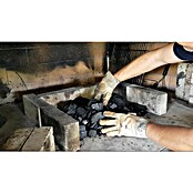 Netilo za žar Eco Grill Starter  (5 kos) | 4106 - Anzünder | ICGB - Grillzubehör | ICG - Grillgeräte / Grillzubehör | IC - Freizeit im Garten | I - Stadtgarten | BAUHAUS